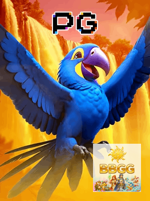 BBGG bônus — cashback 15 por cento e níveis VIP